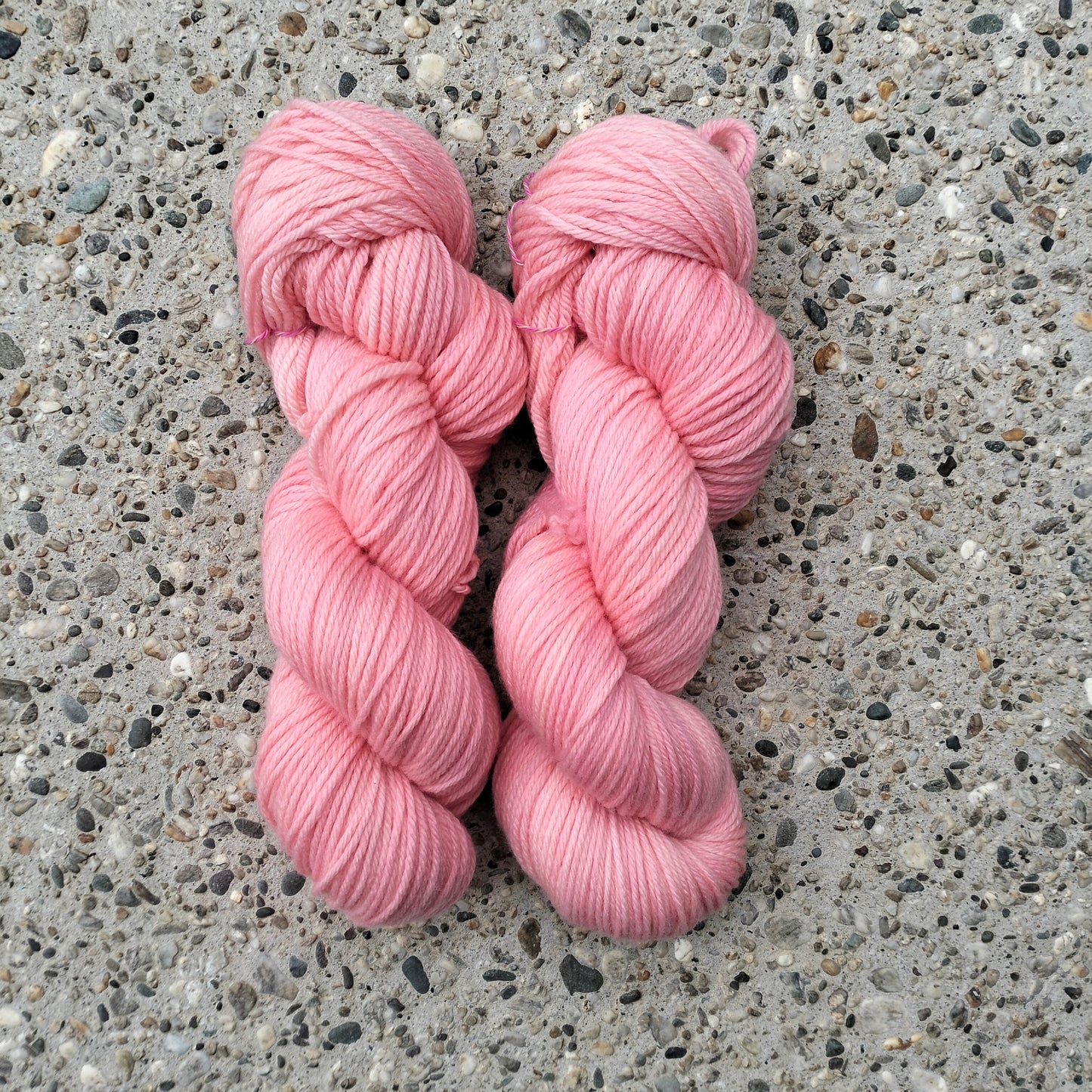 Merri 8 ply Merino // OOAK Flamingo